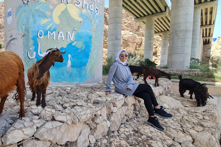 Da Muscat: Avventura a Wadi Shab, Sinkhole e Spiaggia delle Pinne