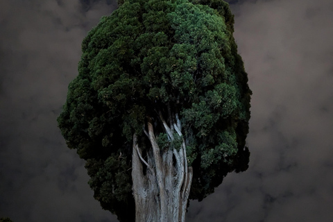 Athens at Night Enchanting Walking Tour and Dinner Delights