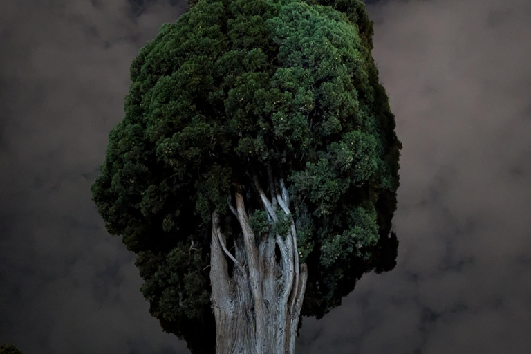 Athens at Night Enchanting Walking Tour and Dinner Delights