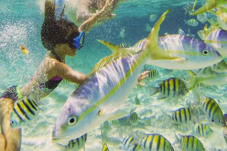 Puerto Plata: Catamaran Party Cruise, BBQ & Open Bar
