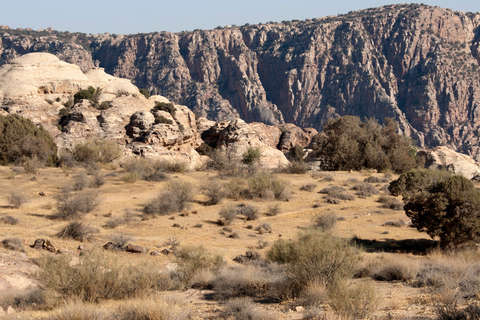 Au départ d&#039;Aqaba : Excursion privée d&#039;une journée dans la réserve naturelle de Dana avec déjeuner