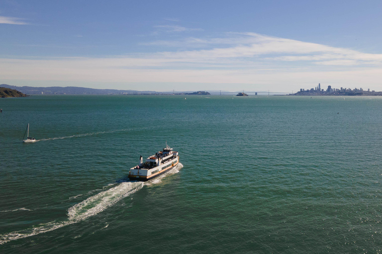 Stadsrondleiding San Francisco + Muir Woods en SausalitoSan Francisco Grand City Tour + Muir Woods en Sausalito