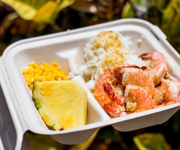 Oahu: Circle Island Day Trip with Shrimp Plate Lunch