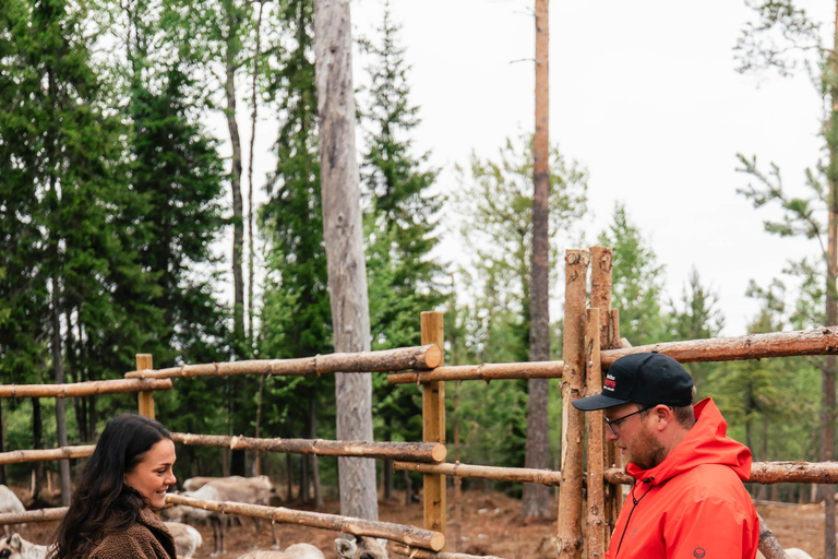 Rovaniemi: Taava Reindeer Farm Visit & Sleigh Ride