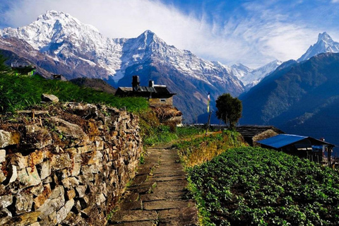 Pokhara: 1 day Kudbidada, Sidhane and Panchase Guided Trek