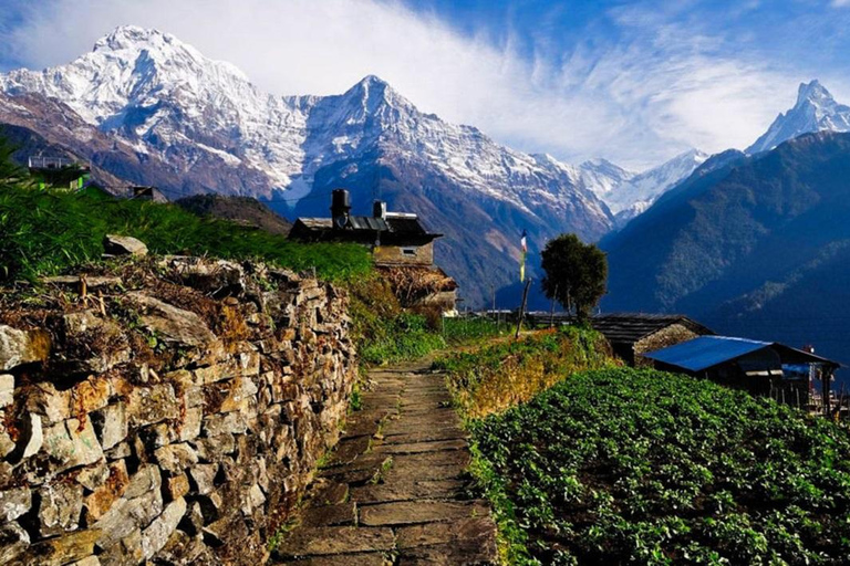 Pokhara: 1 day Kudbidada, Sidhane and Panchase Guided Trek