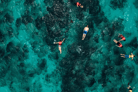 Mallorca Marine reserve: Visit caves, cliffs and snorkeling