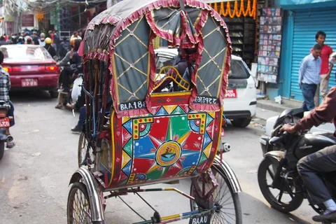 Kathmandu: tour di mezza giornata in risciò della città vecchia