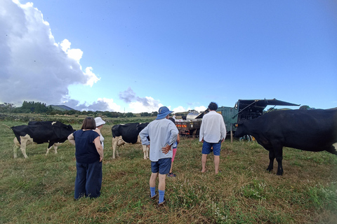 Visite d&#039;une demi-journée au fromage de Sao Jorge