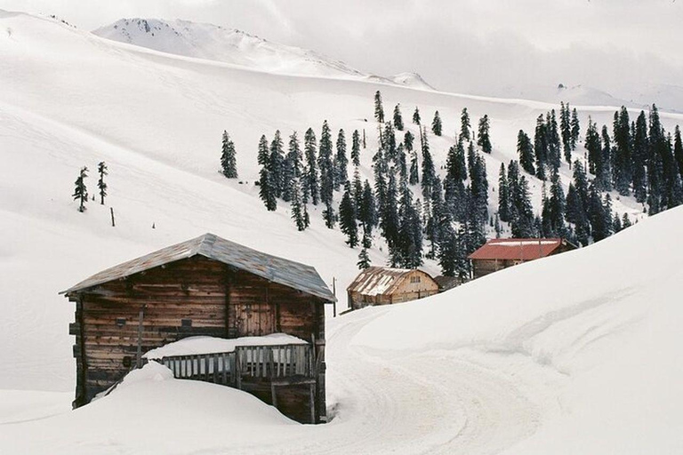 From Batumi: Bakhmaro Winter Tour with Nabeghlavi Stop