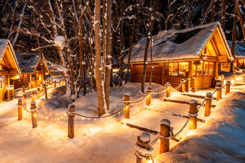 Sapporo 2-Month Special:Asahiyama Zoo & Snowy Landmarks Tour 8:10 am meet at JR Sapporo Station North exit