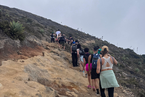 From Santa Ana City: Santa Ana Volcano HikeDa Santa Ana City: Escursione al vulcano Santa Ana