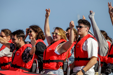 Palma de Mallorca: Sightseeing Speedboat Tour with Pickup Standard Seats