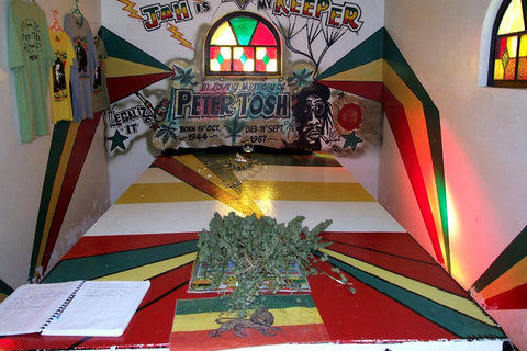 Bob Marley Mausoleum & Dunn’s River Falls Private Tour