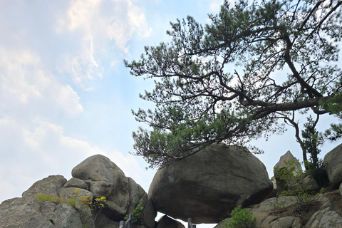 Seoul: Mt. Gwanaksan Full-Day Trek