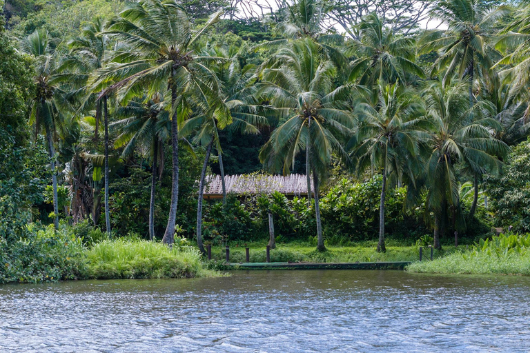From Oahu: Kauai Waimea Canyon & Wailua River Tour