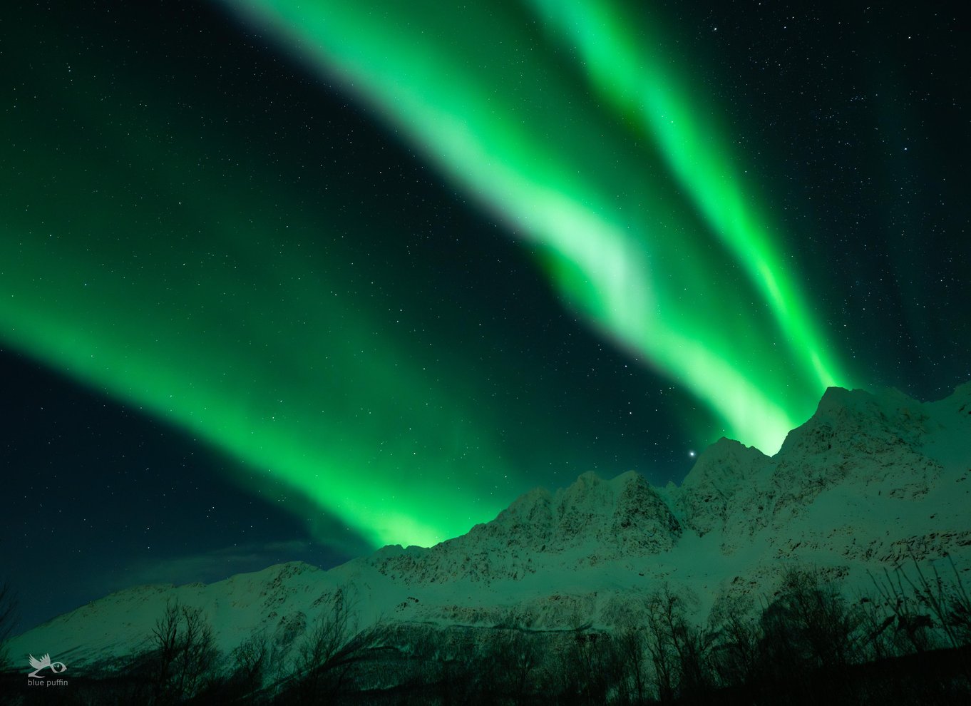 Tromsø: Nordlys i minibus med gratis fotos og et varmt måltid