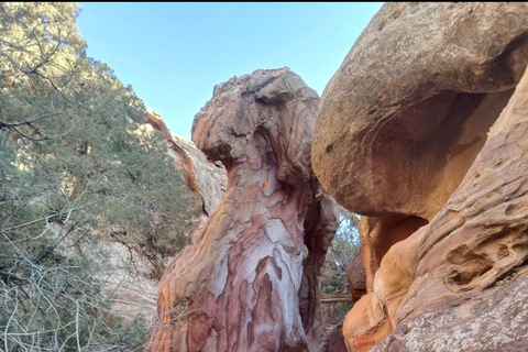 2-Day Petra, Dead Sea, Pink Lake & Indiana Jones Road Trip