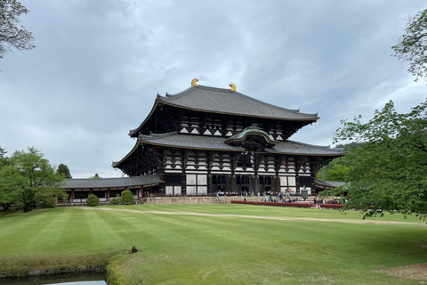 Nara: Halvdag med lokal guide – Big Buddha, hjort, helgedom, skogNara: Halvdag lokal guide- Stora Buddha, hjort, helgedom, skog
