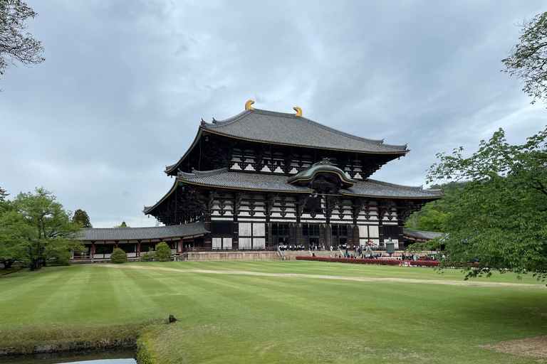 Nara: Halvdag med lokal guide – Big Buddha, hjort, helgedom, skogNara: Halvdag lokal guide- Stora Buddha, hjort, helgedom, skog