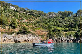 Nizza: Privater Katamaran-Ausflug zum Cap-Ferrat mit Schwimmen