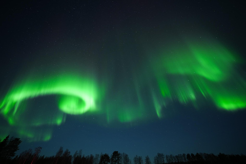 Rovaniemi: Coffee under Northern Lights & Professional Photo