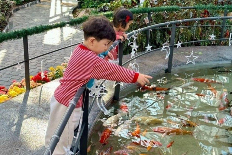 A partir de Seul: Begonia Bird Park, Rail Bike e Garden TourDongdaemun, 9h