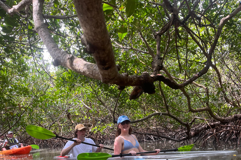 Bonita Springs Clear Kayak Tour with Dolphins & Manatees Crescent Tandem Kayak
