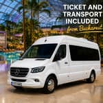 Bucarest: Biglietto d'ingresso alle Terme di Bucarest con trasporto