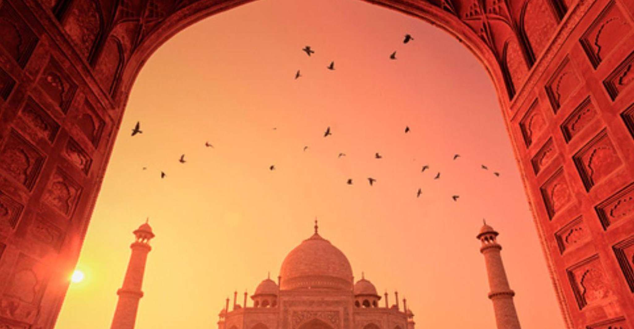 Da Delhi, Sunrise Taj Mahal Tour con la conservazione di Elephant - Hizvo
