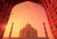 Von Delhi,Sunrise Taj Mahal Tour mit Elefantenschutz - Hizvo