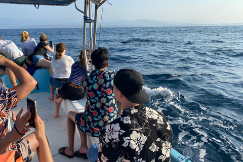 Puerto Escondido: Bootstour zu Delfinen und MeerestierenPrivate Tour