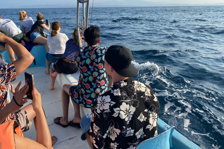 Puerto Escondido: Bootstour zu Delfinen und MeerestierenPrivate Tour