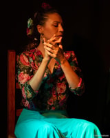 Valencia, Espectáculo de Flamenco en Ca Revolta - Hizvo