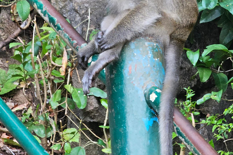 Krabi: Tiger Cave and Night Market Experience Join-in Krabi Tiger Cave & Night Market