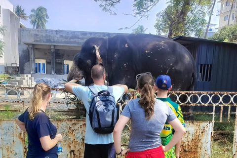 Kochi: Heritage Tuk-Tuk Tour with Pickup from Cruise Port