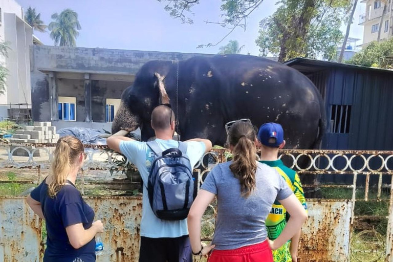 Kochi: Heritage Tuk-Tuk Tour with Pickup from Cruise Port