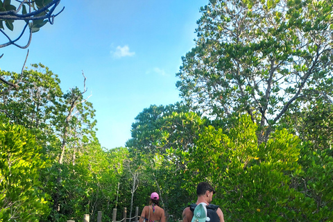 Zanzibar: Las Jozani i bar plażowy Kae Funk Sunset
