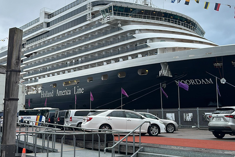 Auckland: Stadshotelvervoer van/naar cruiseschip in minibus