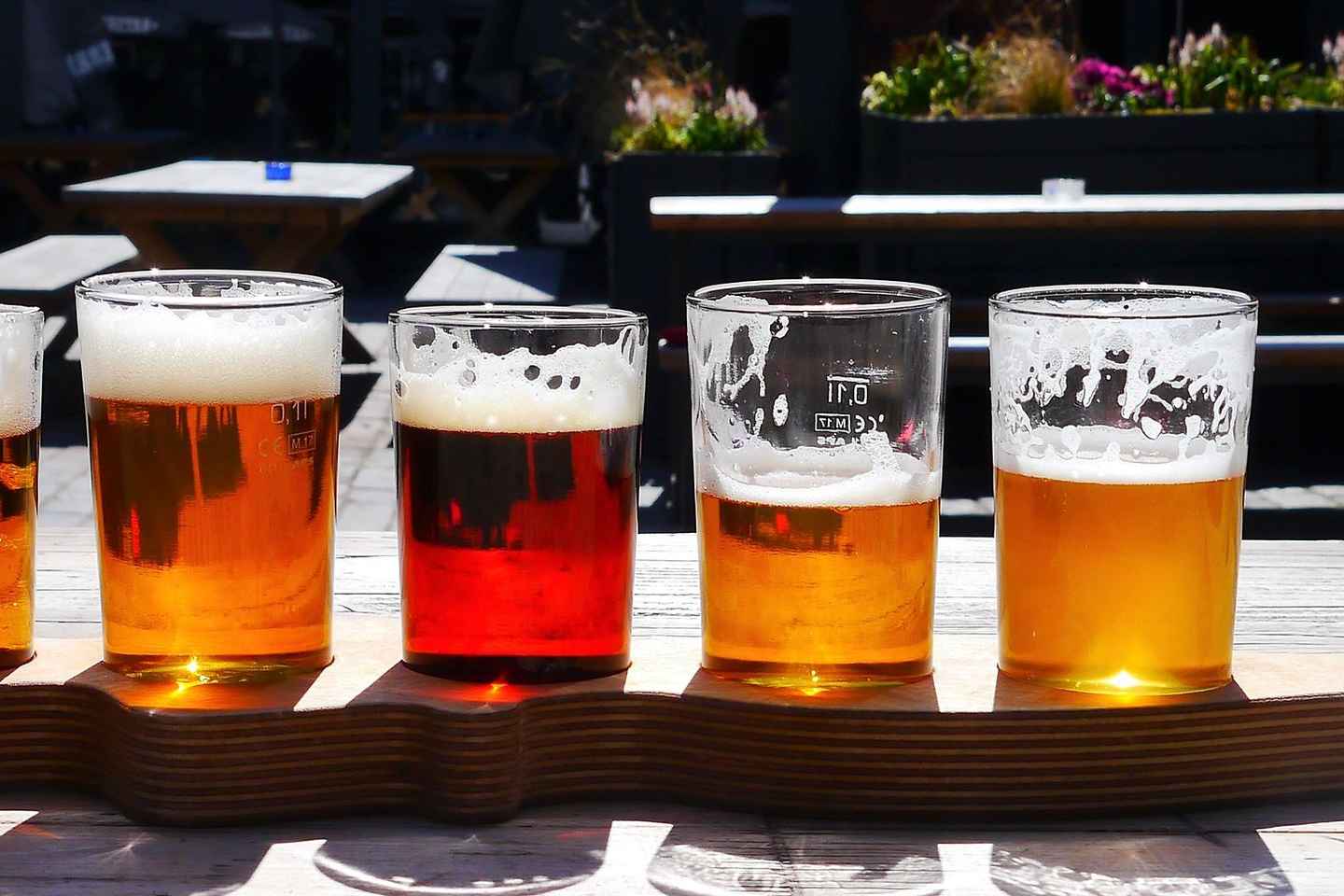 VIP Prague Party Night