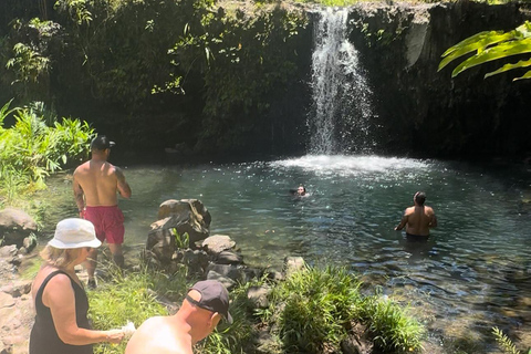 Maui's Sea Turtle & Waterfalls: Taste of Hana Guided Tour