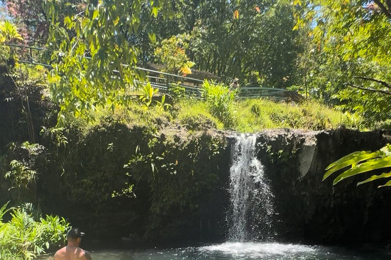 Maui's Sea Turtle & Waterfalls: Taste of Hana Guided Tour