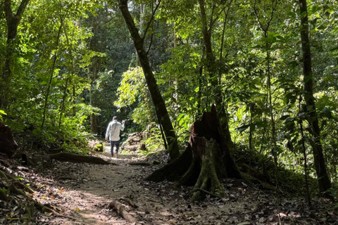 Archaeological Zone of Palenque: Guided Tour of Mayan Temples