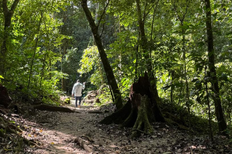 Archaeological Zone of Palenque: Guided Tour of Mayan Temples
