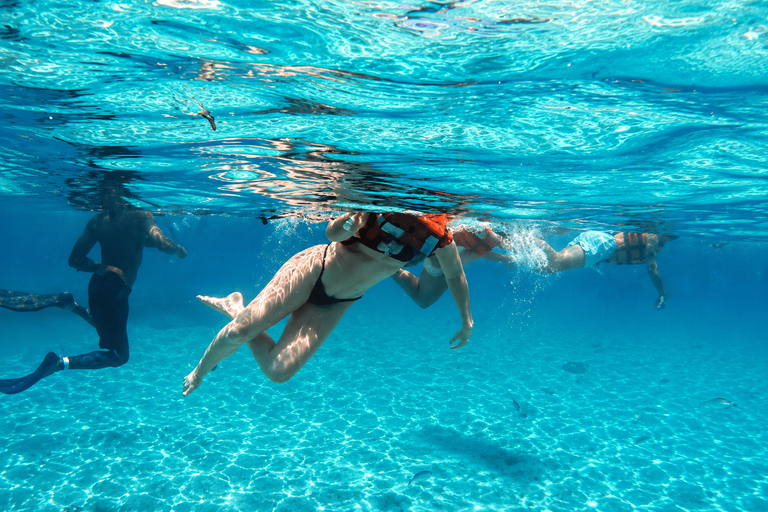 From Punta Cana: Catalina Island with Lunch & Transportation SNORKELING PACK