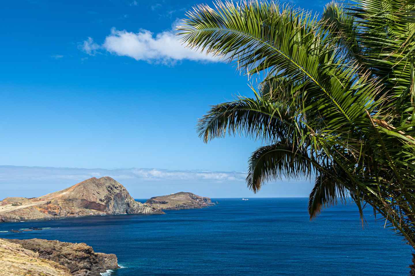 Мадейра: ПР8 - Трансфер в Природный Заповедник Понта-де-Сан-Лоренсу