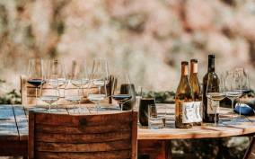 Sonoma: Explore Natural Wineries with a Local Sommelière