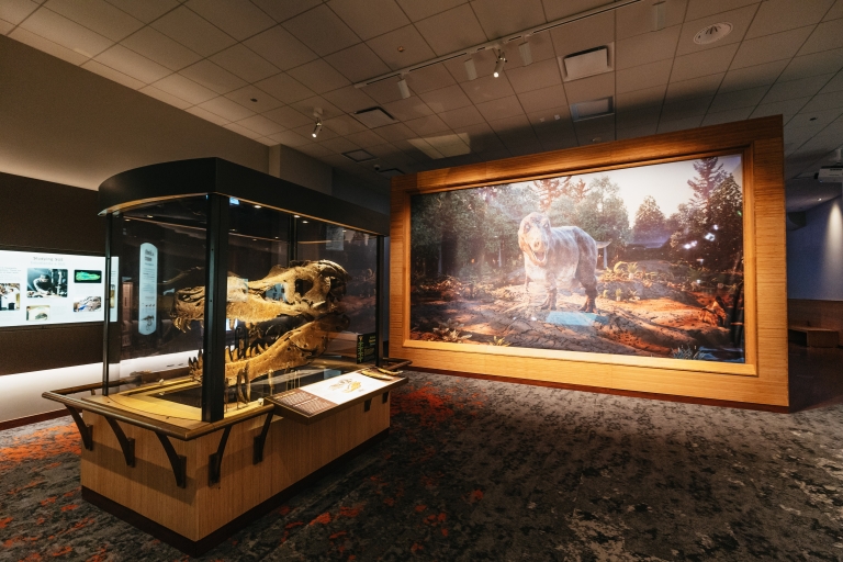 Chicago: entrada o tour VIP Museo Field de Historia NaturalPase de acceso completo al museo