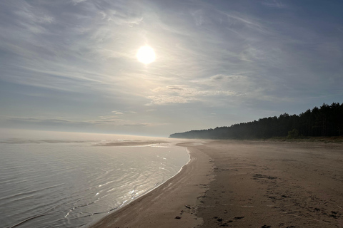 Sunrise Tour To Great Kemeri Bog