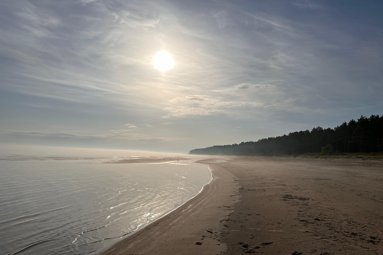 Sunrise Tour To Great Kemeri Bog